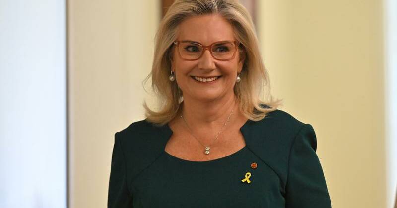 Ex-senator quits Libs, unity urged over climate stoush