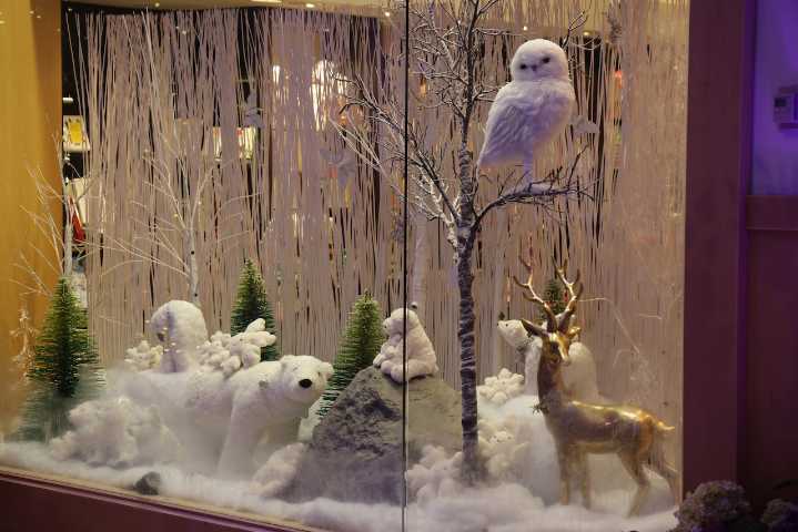 Get Ready: “Frost” returns soon to the Cleveland Botanical Garden