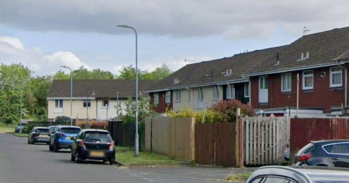 Police descend on street where suspected car thief was 'hiding in garden playhouse'
