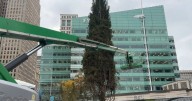 Detroit's Christmas tree arrives at Campus Martius Park