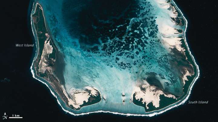 Peeling of continents from beneath fuels ocean volcanoes