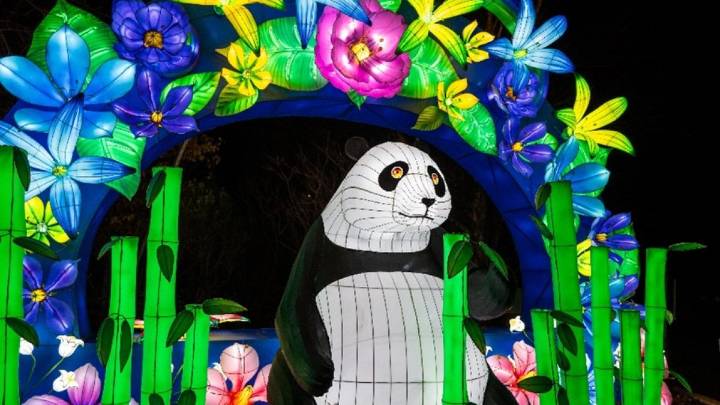 ZooLights returns to National Zoo after government shutdown