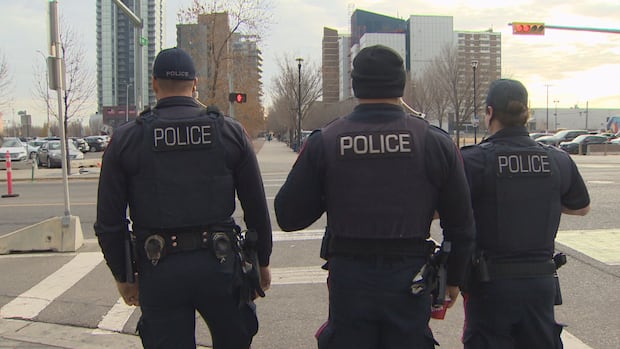 Police say about 75 people commit an inordinate amount of crime in Calgary. Who are they?