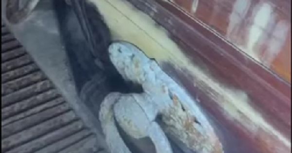 El misterio del ataúd en un cementerio: la historia que impactó en las redes