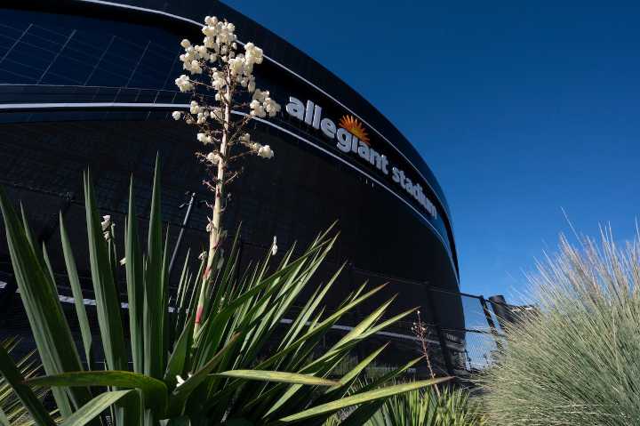 Bishop Gorman vs. Arbor View: Where to watch live Nevada high school football NIAA championship game Tuesday night (11/25/2025)