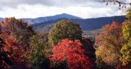 Fall colors peak in Roanoke, New River valleys