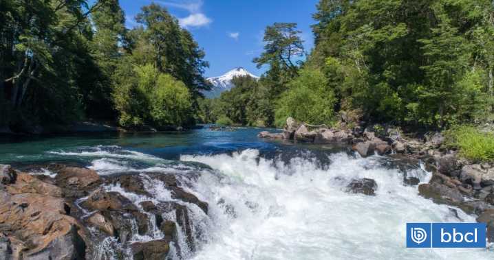 "Es una situación bien crítica": Alcalde de Curarrehue por desechos domiciliarios en el río Trancura