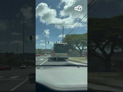 Honolulu bus driver shows gratitude in very Hawaiian way
