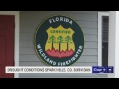 Hillsborough County issues burn ban as wildfire risk and drought deepen