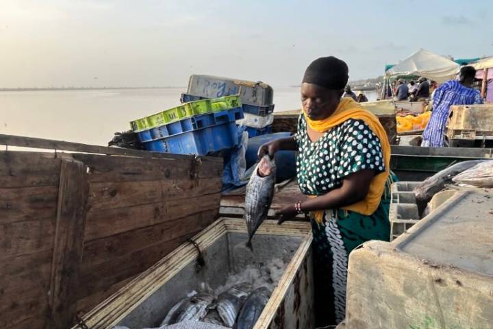 West Africa’s oceans get $68 million lifeline amid fisheries decline