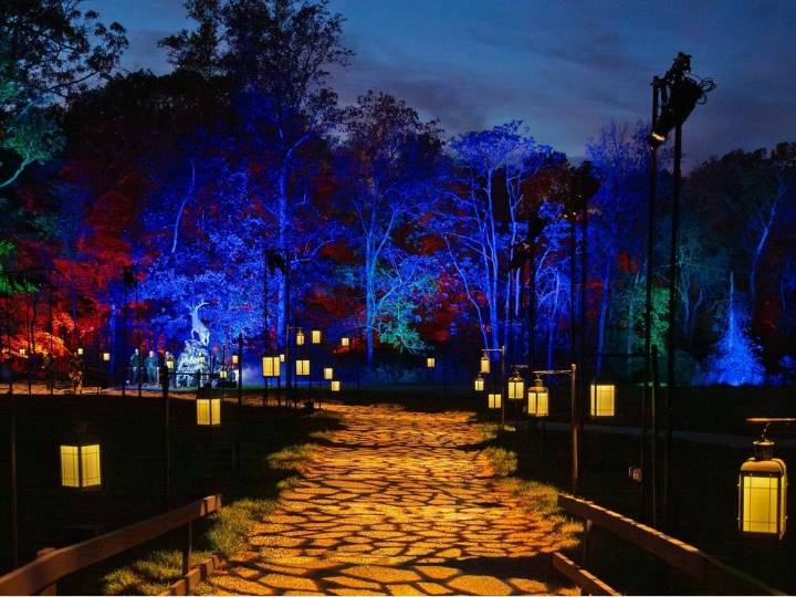 Vancouver's Stanley Park gets magical with new Harry Potter creation: A Forbidden Forest Experience