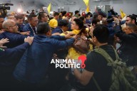 Activistas climáticos denuncian represión a pueblos indígenas que llegaron a la COP30 en Brasil