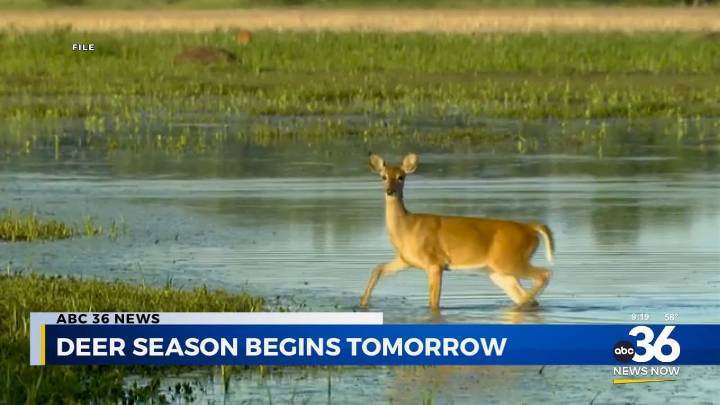 Deer season begins tomorrow