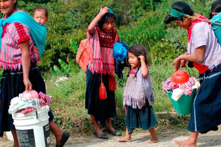 Rumbo a la COP30: el cambio climático y la migración forzada en AL, por Pía Riggirozzi