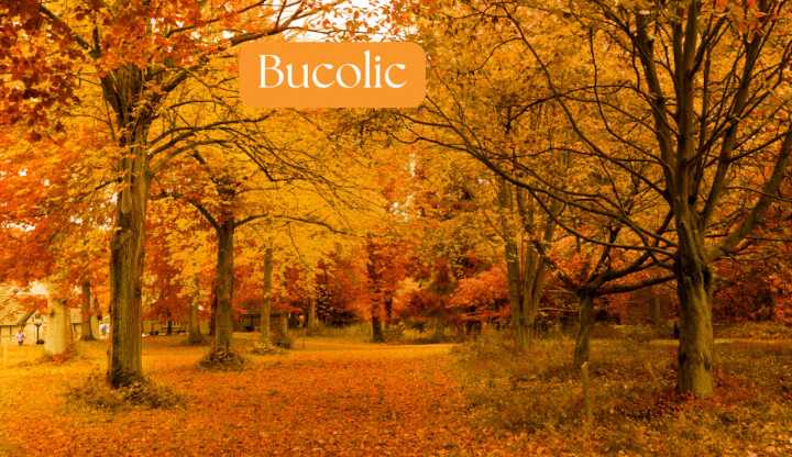 What does the word ‘bucolic’ mean? How to use the term to describe your next autumn escape