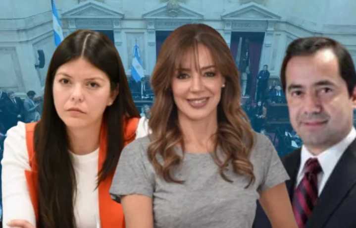 Juraron los nuevos senadores nacionales por Salta y se renueva la representación provincial en el Congreso