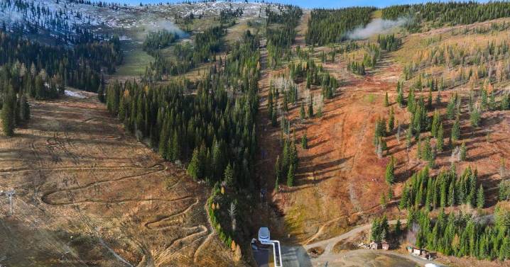 Schweitzer postpones opening day to Nov. 28