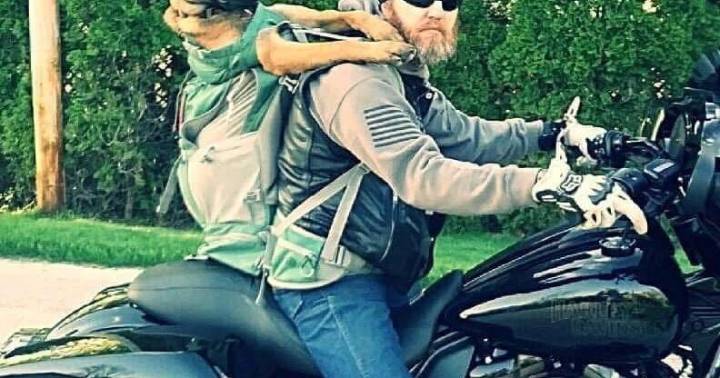 Mission K9 Warrior saves 40 lives according to founder