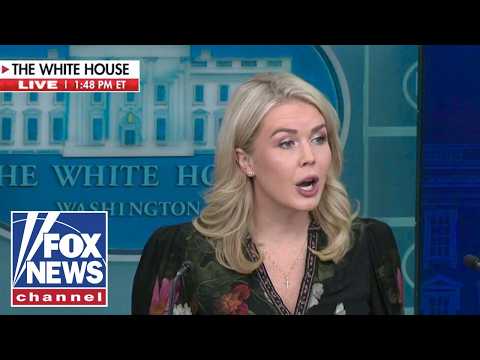 'RECKLESS AND DANGEROUS': Karoline Leavitt RIPS Dems as shutdown continues