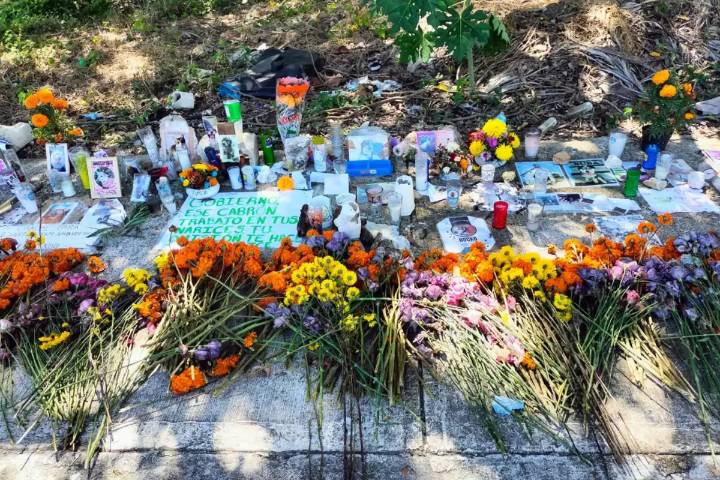 Caso crematorio “Casa Xibalbá”: Incinerarán 100 mascotas no reconocidas por sus dueños