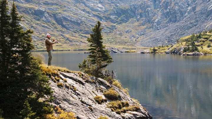 Grammy-winning composer Paul Winter celebrates NH forests in new concert