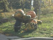 10 Smart and Silly Ways Washington Can Repurpose Old Pumpkins