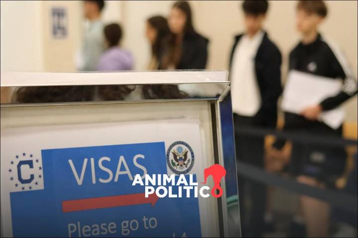 EU endurece criterios de visa: padecer diabetes u obesidad podría causar rechazo