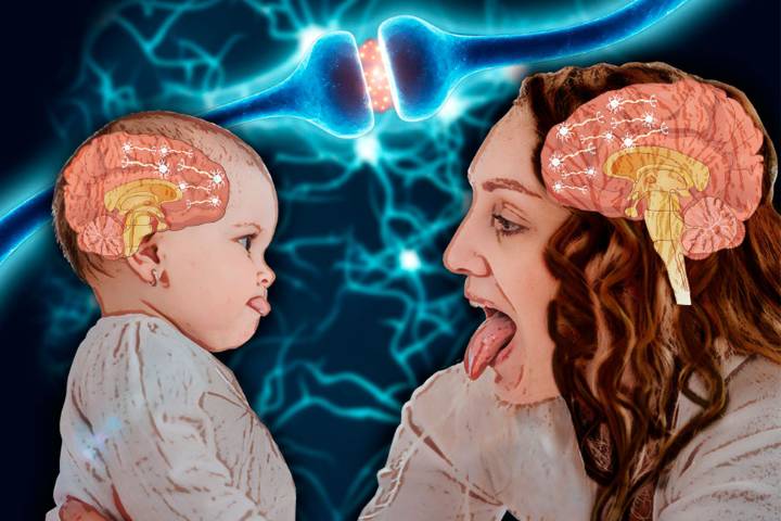 Ecolocación (III), por Rafael Henrique Iribarren Baralt