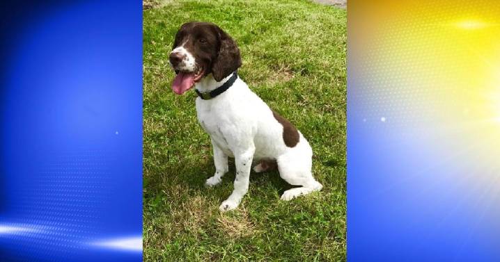 Douglas County deputies uncover meth in Myrtle Creek raid