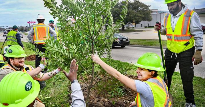 Looking for New Orleans home and garden events? Check out these options