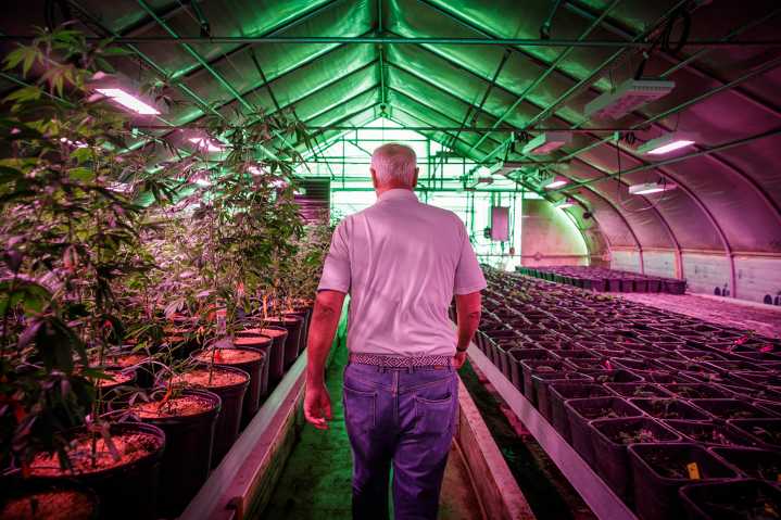 Hemp Farmers Say Provision in Bill Ending Shutdown Will Decimate Their Industry