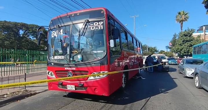 Adulto mayor de 61 años muere tras ser atropellado por camión de la ruta 604 mientras circulaba en su bicicleta