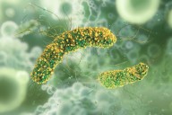 How scientists are hacking bacteria to treat cancer, self-destruct, then vanish without a trace