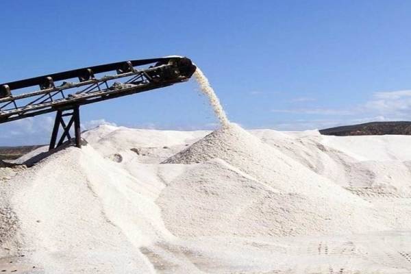 Desarrollo de un complejo salinero y otros proyectos industriales en la ZEE Nueva Esparta mediante inversiones