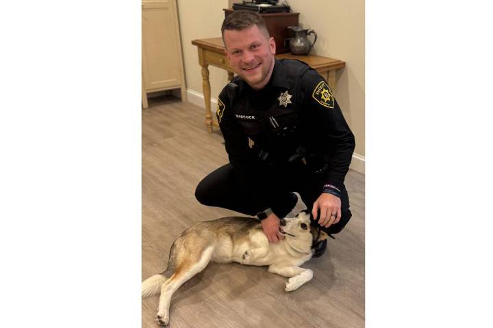 Heartwarming Reunion Of A Rescued Dog And Deputy Babcock