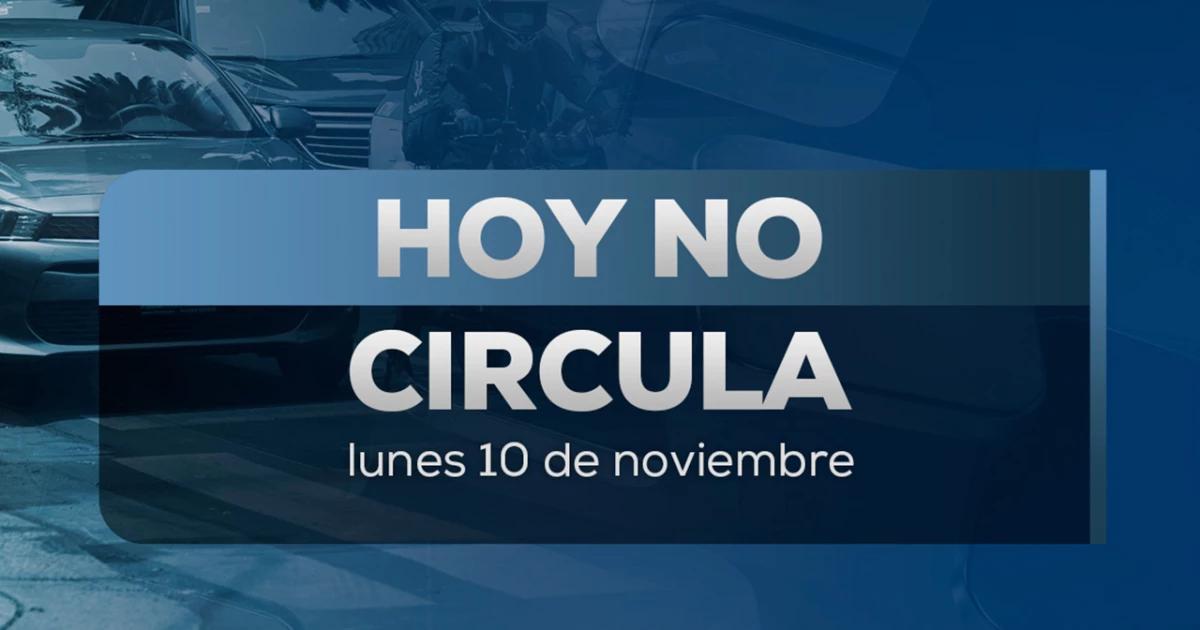 ¡Atención conductores! Estos autos no circulan este lunes 10 de noviembre