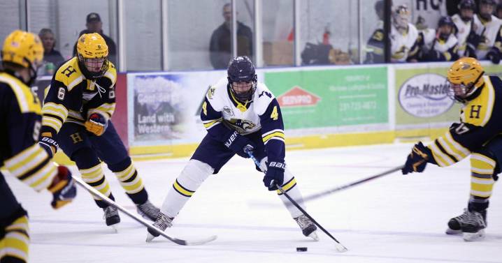 Badgers fall to Hudsonville, 2-1, in overtime thriller