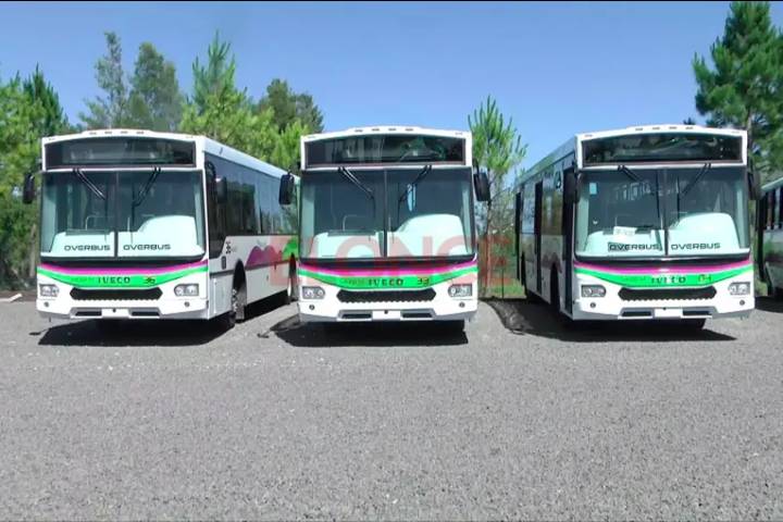 Colectivos urbanos: líneas con letras, recorridos troncales y qué ocurrirá con frecuencias y paradas