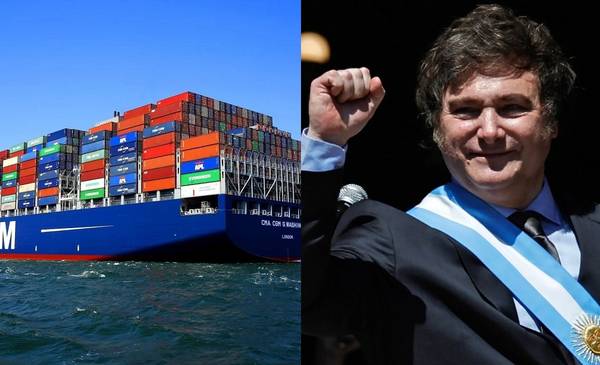 Una importante naviera francesa dejará de operar en Mar del Plata y Bahía Blanca