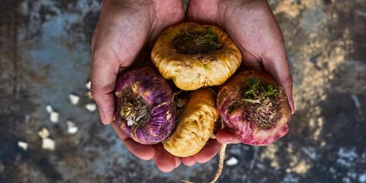 Con la potencia de los Andes: este gigante sudamericano acaba de reconocer a la maca peruana en su Código Alimentario