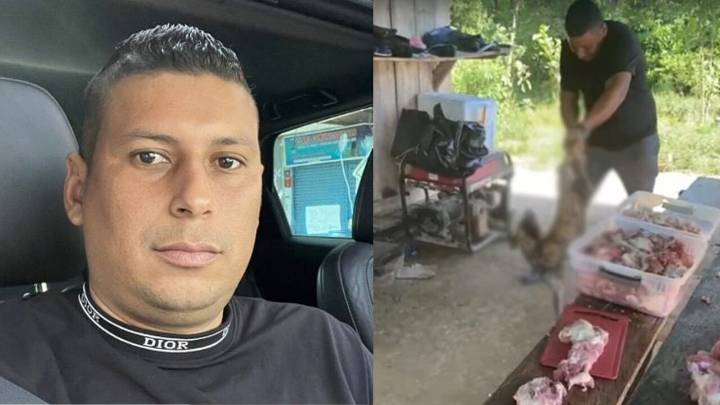 ¡Denúncielo! Millonaria recompensa por sujeto que atacó al perrito y quedó en video