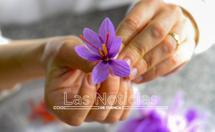 Gastronomía y tradiciones manchegas en las terceras jornadas del azafrán de Motilla