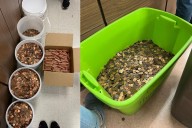 Massive Amount of Pennies Collected at New York Grocery Stores
