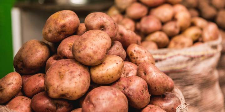 Desperdicio de alimentos y nula actualización de métodos agrícolas, los problemas de Colombia en la previa de la COP30