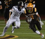 Highlanders’ Hills: Rochester Adams tops Stoney Creek 43