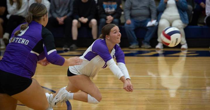 Manteno, Beecher have seasons come to an end in sectional semis