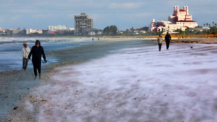 Tampa Bay braces for record-breaking cold weather with shelters, advisories