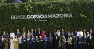 Germany supports Brazil's forest plan at climate talks