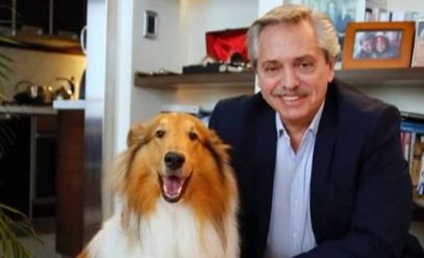 Murió Dylan, el perro de Alberto Fernández: "Fuiste parte de mi vida"