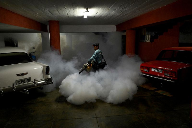 Cuba fights to contain spread of mosquito-borne chikungunya virus